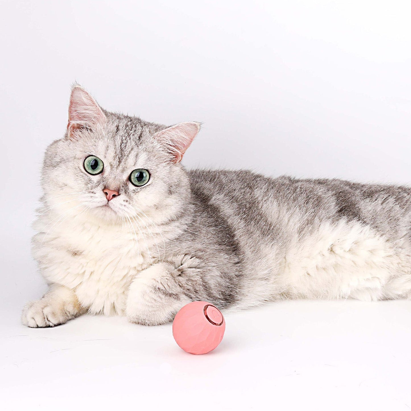 🐱 Power Ball 2.0 Interactive Cat Toy – 3 Modes, USB-C Rechargeable, 6H Playtime, Self-Play Fun ⚡
