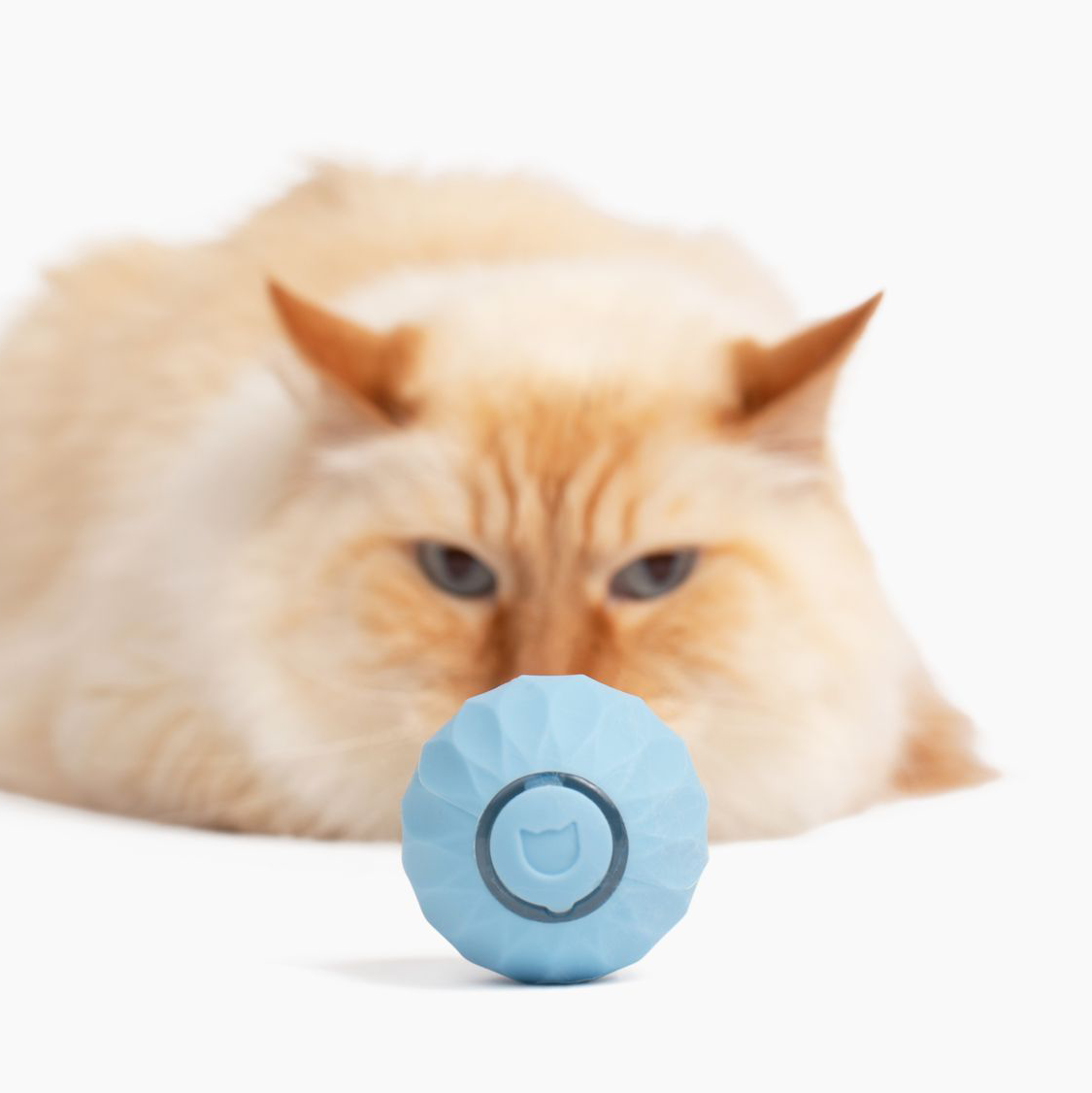 🐱 Power Ball 2.0 Interactive Cat Toy – 3 Modes, USB-C Rechargeable, 6H Playtime, Self-Play Fun ⚡