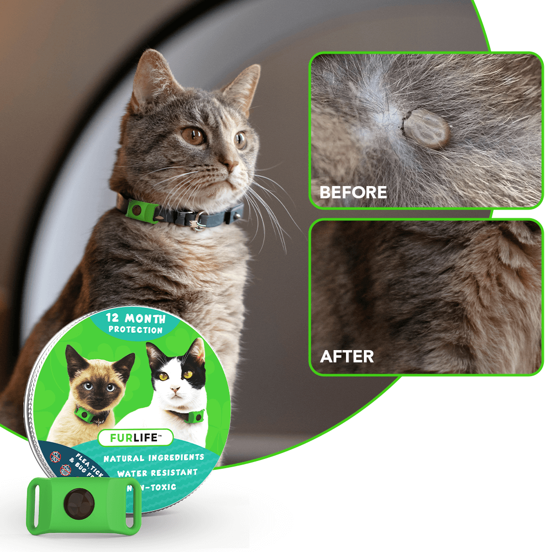 🐱 Anti-Flea & Tick Pendant for Cats – Natural Chemical-Free Protection, Waterproof, Fits All Collars (=^･^=)