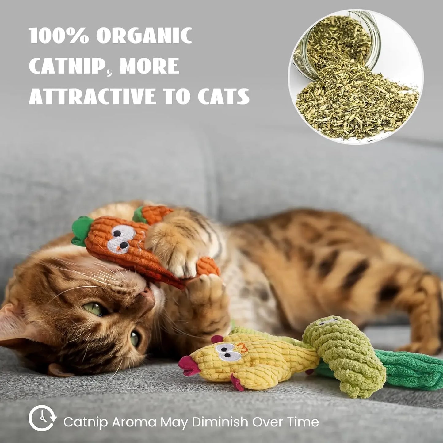 🌵 5 Pack Cactus Cat Toy Set – 100% Premium Cat Herb Filling, Natural Stimulation, Durable for Teething & Play