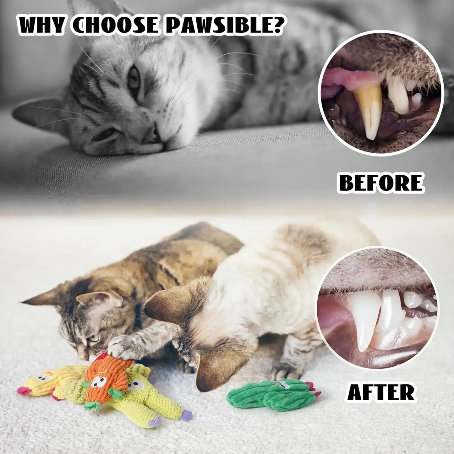 🌵 5 Pack Cactus Cat Toy Set – 100% Premium Cat Herb Filling, Natural Stimulation, Durable for Teething & Play