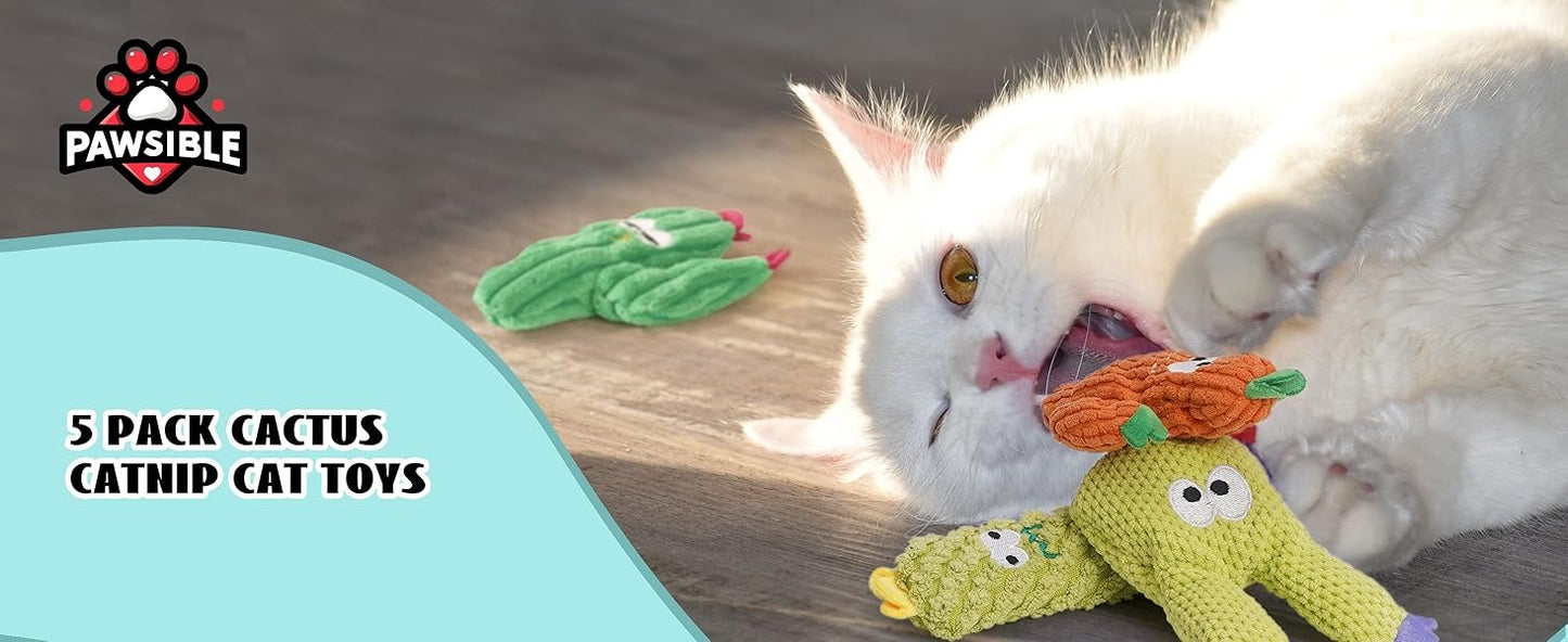 🌵 5 Pack Cactus Cat Toy Set – 100% Premium Cat Herb Filling, Natural Stimulation, Durable for Teething & Play